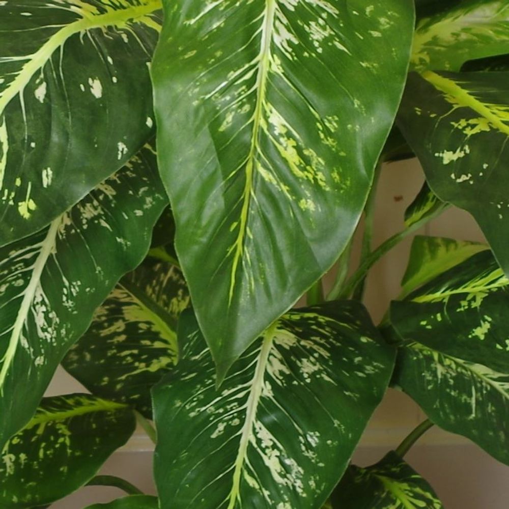 Large 100cm Spotted Evergreen Artificial Plant Tree