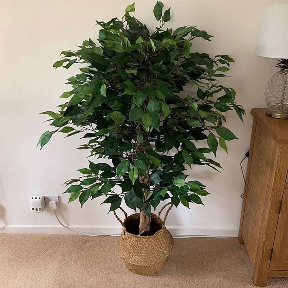 Realistic 120cm Ficus Tree Artificial Plant