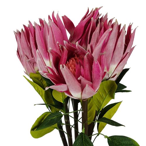 65cm Pink Protea Sugarbush Flower Stem