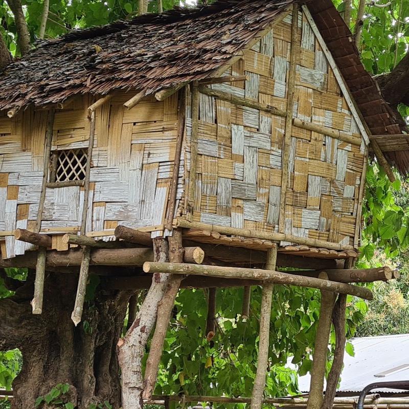Ceremonial Cacao from the Solomon Islands