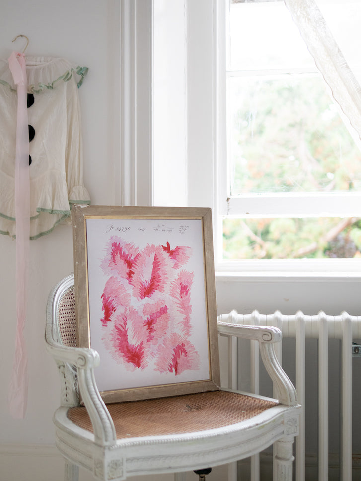 Venus Plumes Vintage Archive Poster Print