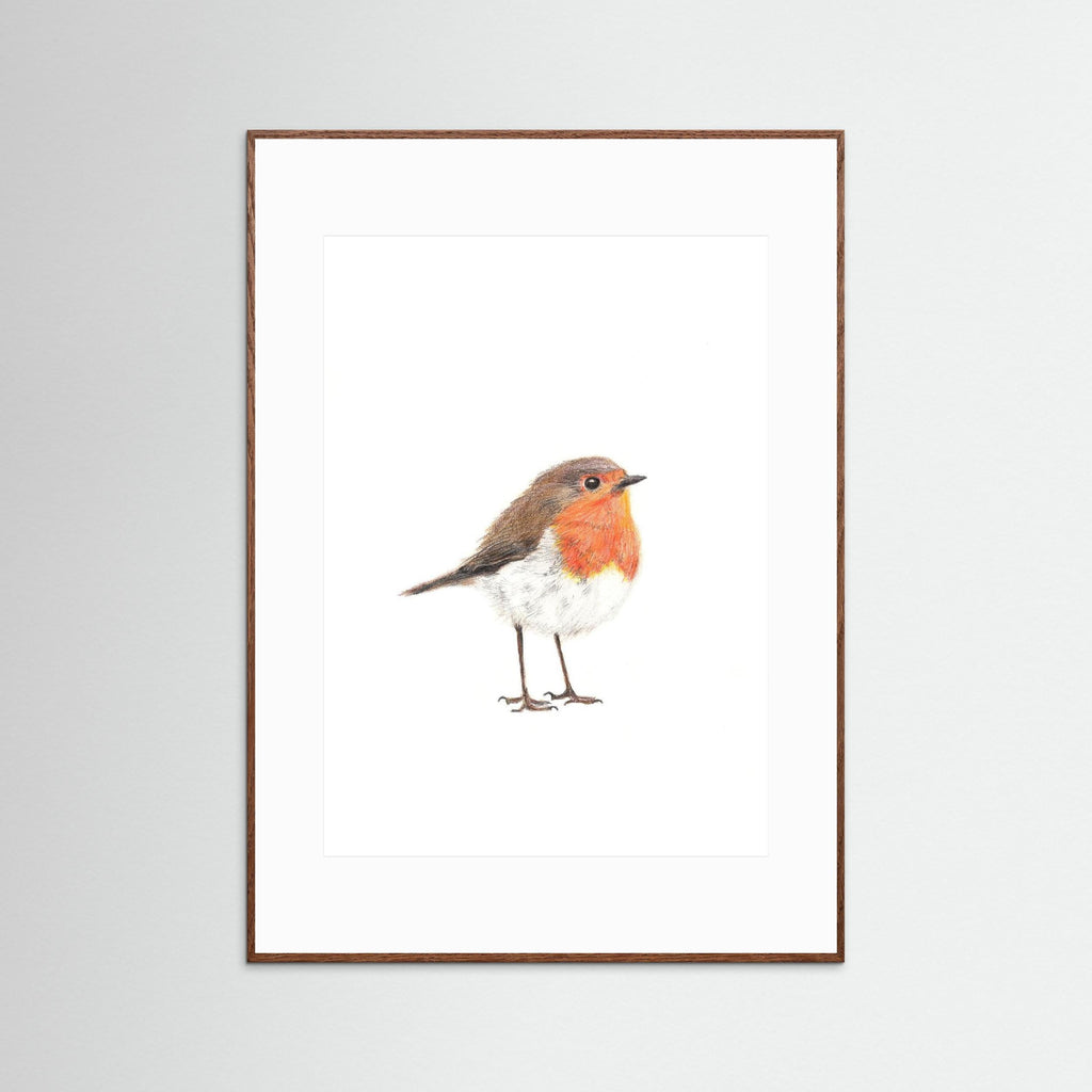 Robin Art Print Wildlife Wall Art for Nature Lovers