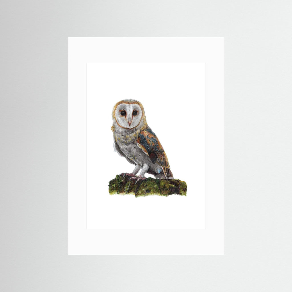 Barn Owl Art Print Wildlife Wall Art for Nature Lovers