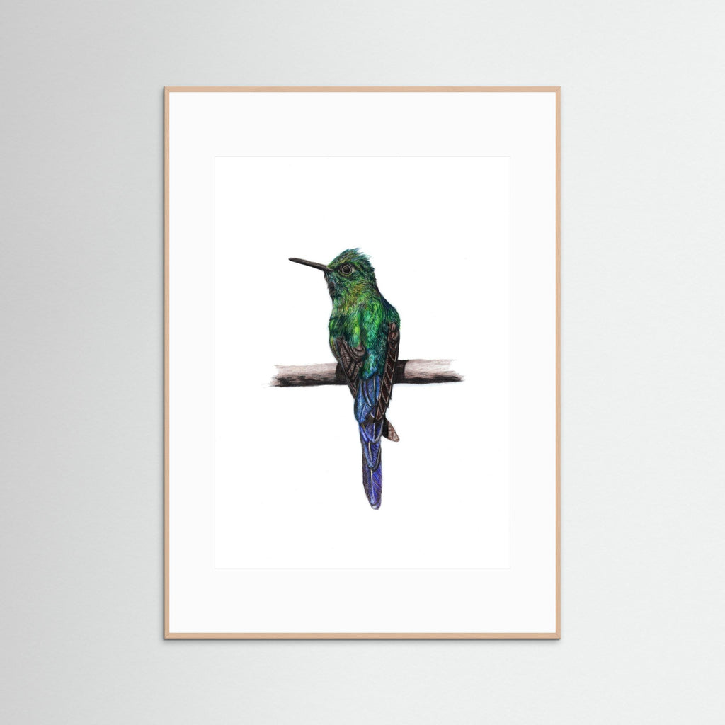 Hummingbird Art Print Wildlife Wall Art for Nature Lovers