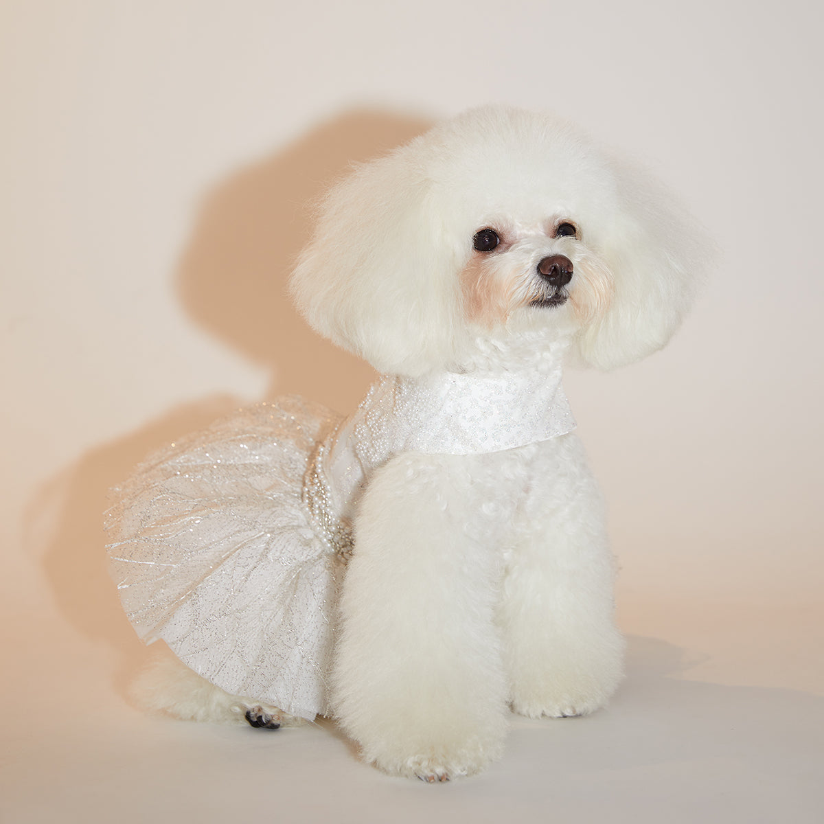 Personalised Wedding Dress for Dogs