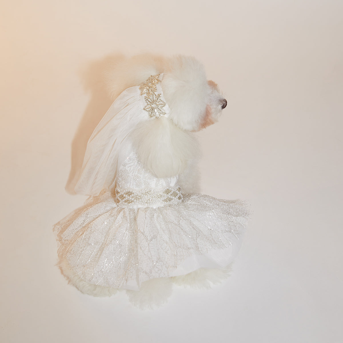 Personalised Wedding Dress for Dogs