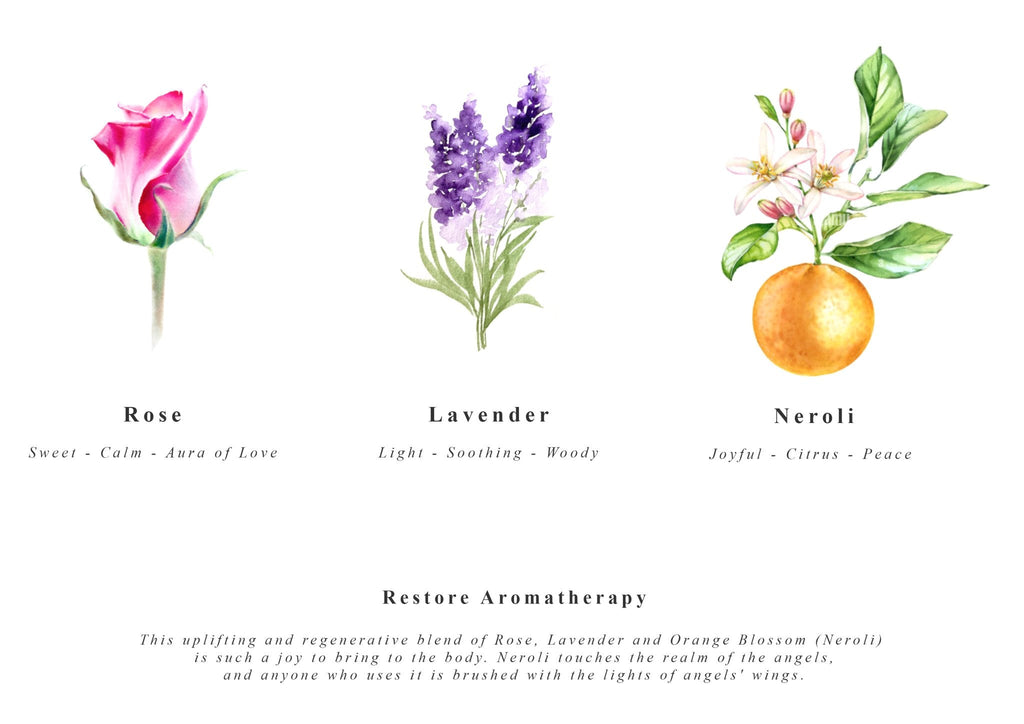 Body Meditation Cleanse and Restore Box