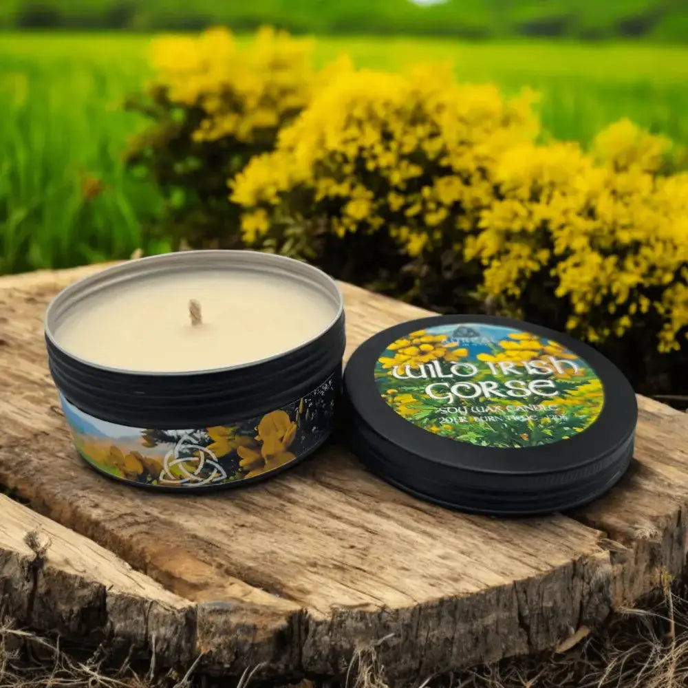 Wild Irish Gorse Atmospheric Tin Soy Candle