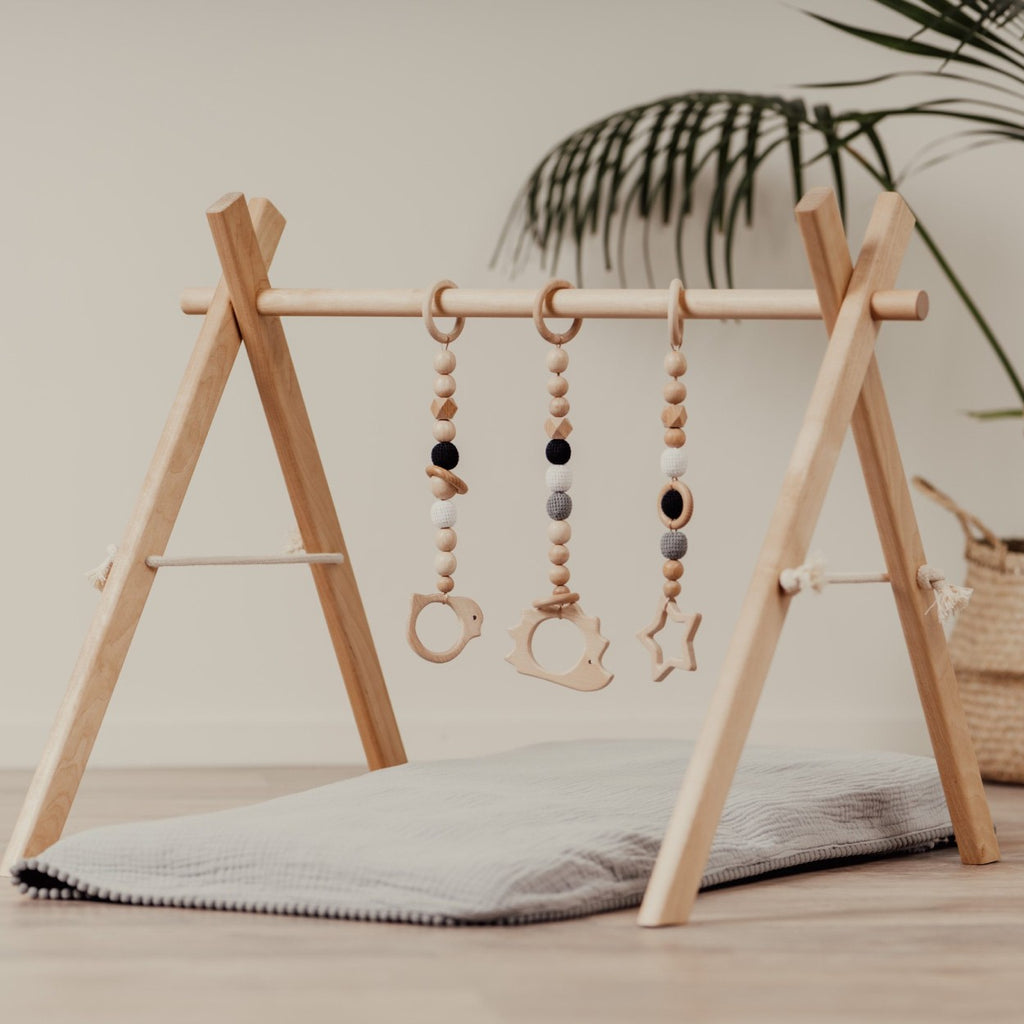 a bold, low-angle shot of the wooden baby gym, showcasing its sturdy frame and inviting play space