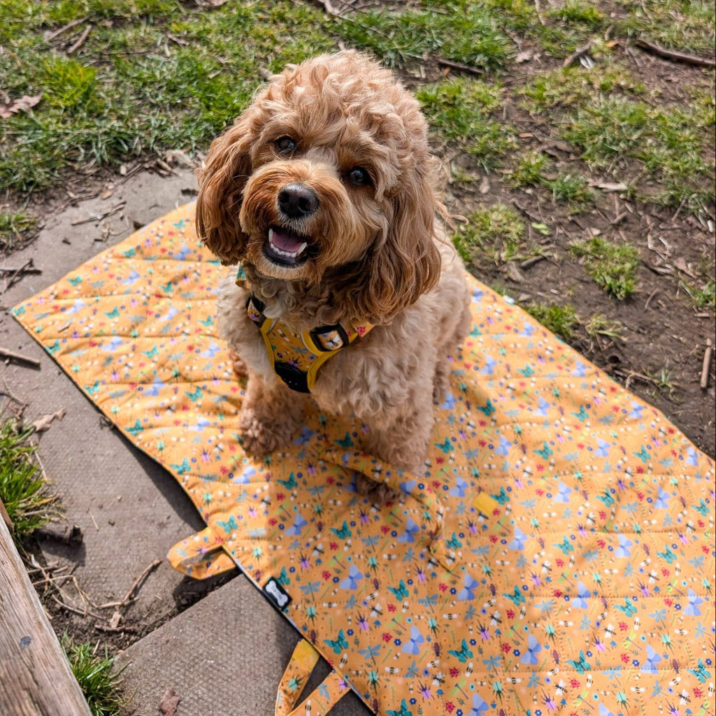 Summer Buzzin Dog Settle Mat Waterproof Travel Friendly