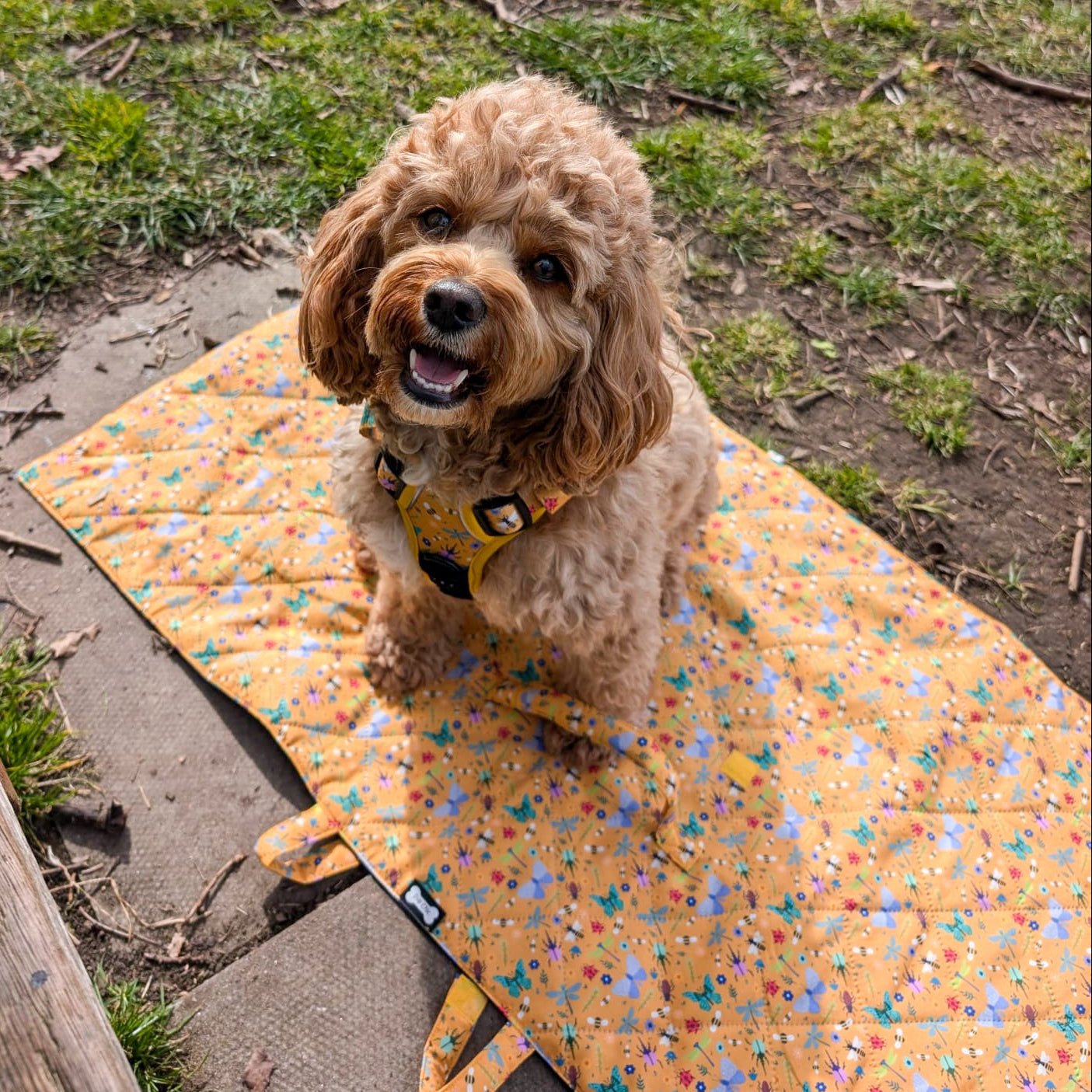 Summer Buzzin Dog Settle Mat Waterproof Travel Friendly