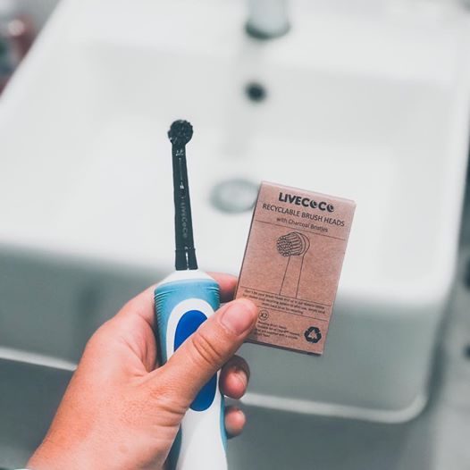 Recyclable Brush Heads-Oral-B* Compatible-12 Brush Heads