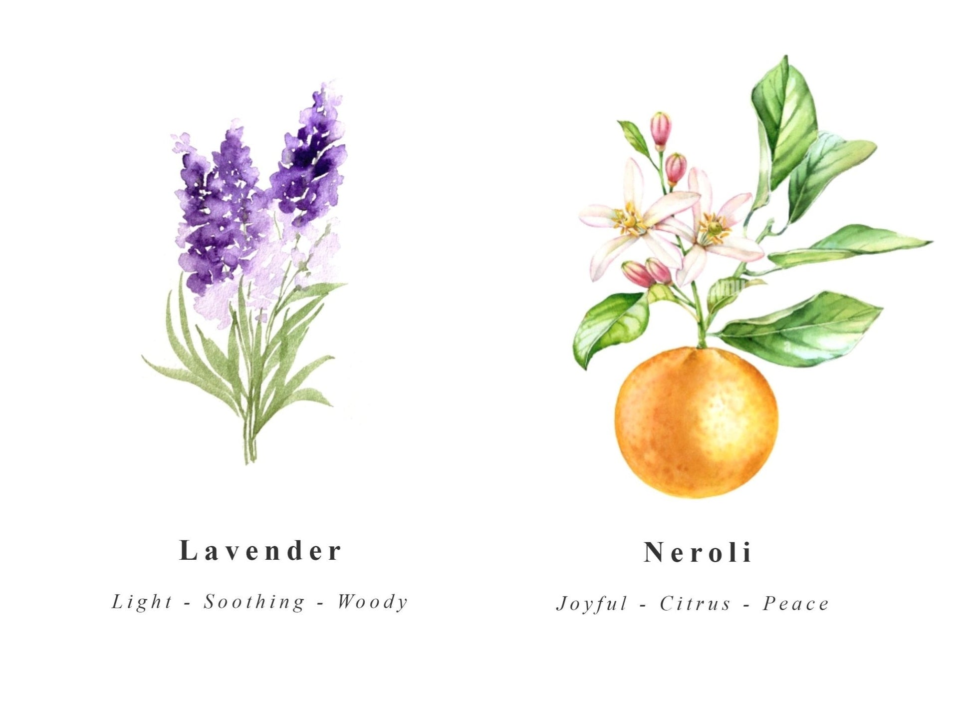 Yoga Mat Wash Spray Natural Antibacterial Cleaner