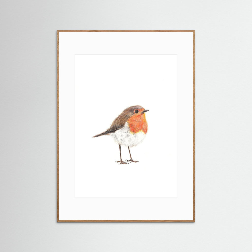 Robin Art Print Wildlife Wall Art for Nature Lovers