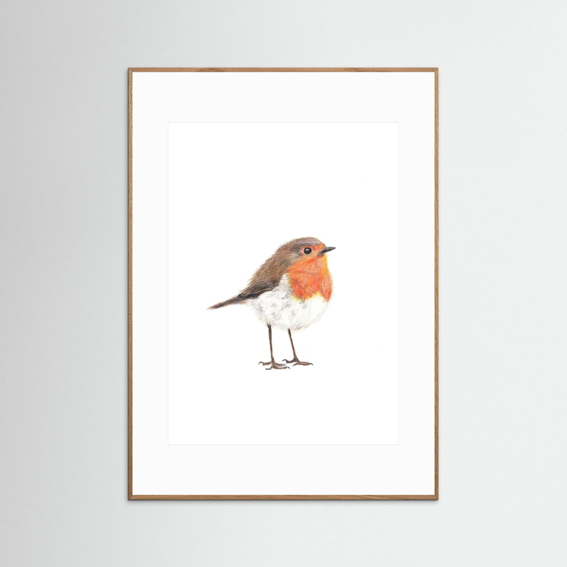 Robin Art Print Wildlife Wall Art for Nature Lovers