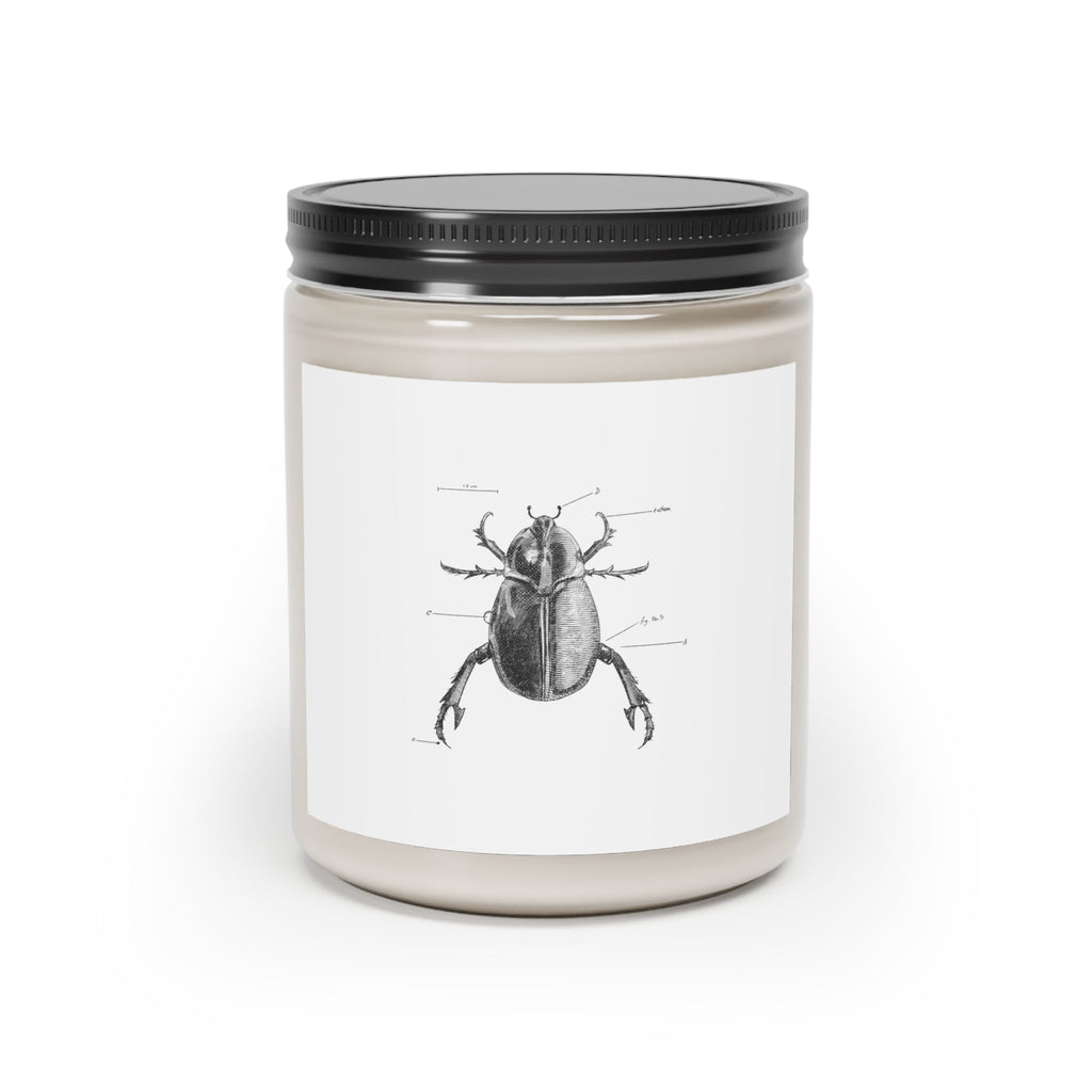 Brilliant Beetle Manic Vegan Scented Candle