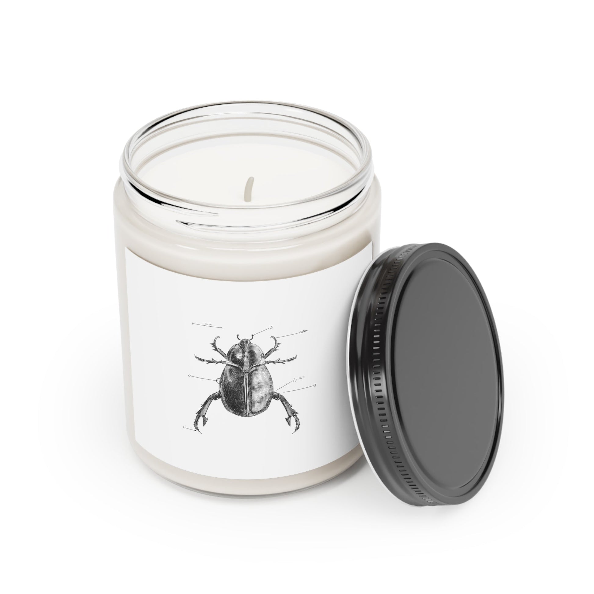 Brilliant Beetle Manic Vegan Scented Candle